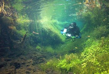 Ewens Ponds