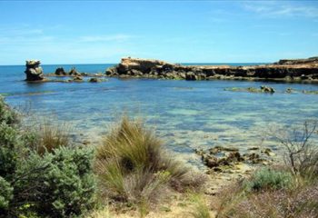 Little Dip Conservation Park