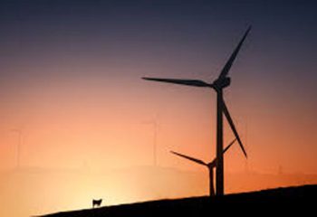 Woakwine fange Windfarm