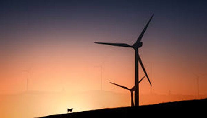 Woakwine fange Windfarm